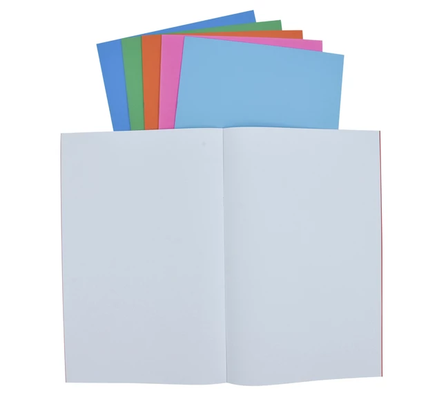 Coupon 💯 School Smart Bright Blank Books, 11 X 17 Inches, Assorted Colors, 6 Sheets, Pack Of 6 🥰 3 Coupon 💯 School Smart Bright Blank Books, 11 X 17 Inches, Assorted Colors, 6 Sheets, Pack Of 6 🥰