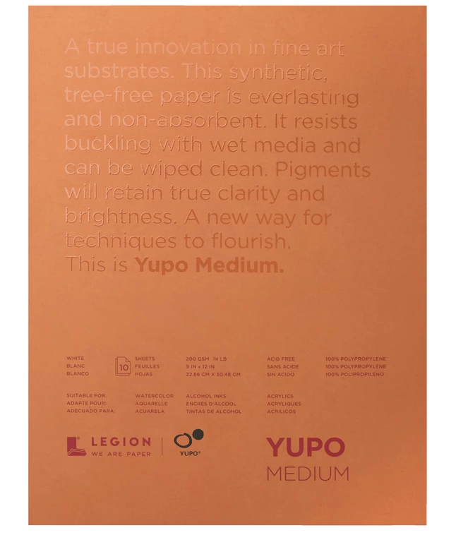 Cheapest 🌟 Yupo Waterproof Watercolor Pad, 9 X 12 Inches, 74 Lb, 10 Sheets 😉 3 Cheapest 🌟 Yupo Waterproof Watercolor Pad, 9 X 12 Inches, 74 Lb, 10 Sheets 😉